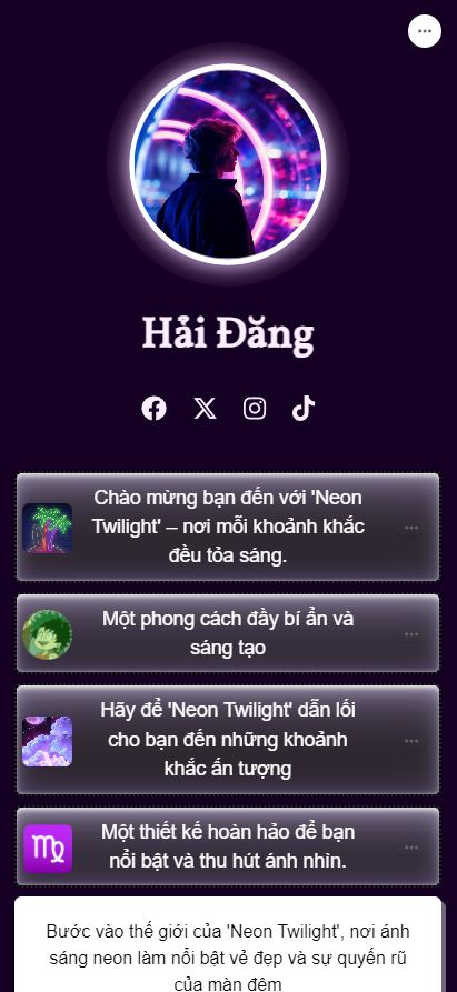 mẫu bio link Neon Twilight